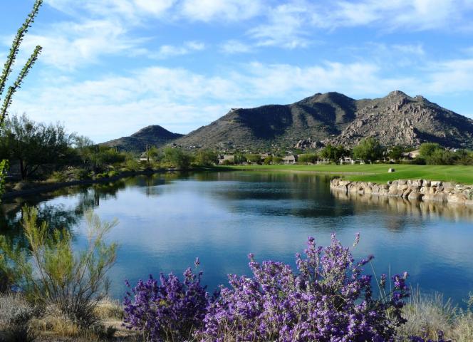 Sonoran properties: Terravita black mountain views