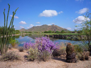 Terravita, Scottsdale, Arizona