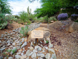 Terravita, Scottsdale, Arizona